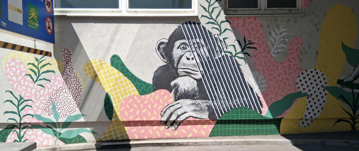 chimpanzee mural