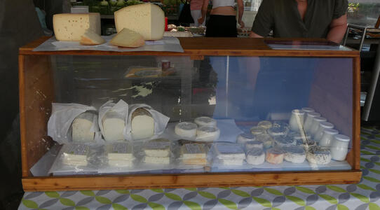 display case of cheeses