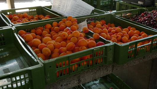 baskets of apricots