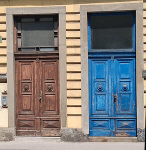 brown and blue doors