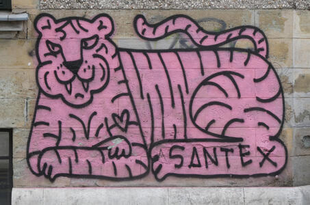 grafitti of pink tiger