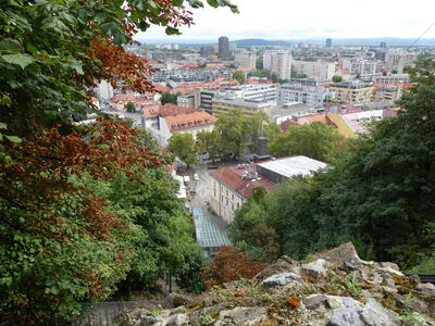 View down to city from near top of castle hill