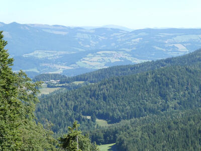 Trees and bushes in foreground, valley and mountains in background