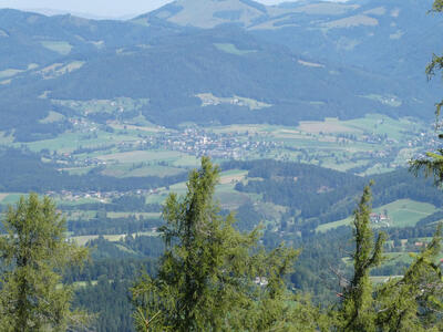 Trees in foreground, valley with small houses in midground, mountains in background