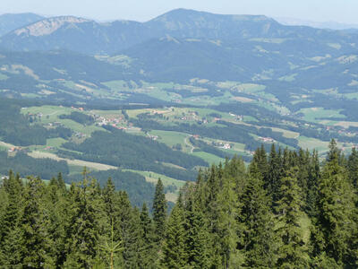 Trees in foreground, valley with houses in midground, mountains in background.