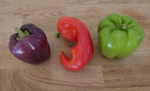 From left to right, a purple bell pepper, a red pepper, and a green bell pepper, all on a wooden table.