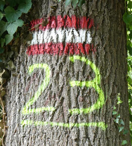 Trail marker on tree; Austrian flag above number 23 painted in yellow