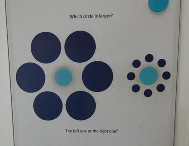 Two blue circles. One is enclosed in a circle of large black circles and appears smaller than the one that is enclosed in small black circles. The blue circles are actually the same size.