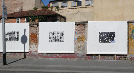 Abstract black and white patterns centered in canvases the size of a bedsheet.