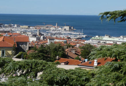 View of Trieste harbor in far background
