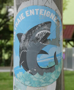 Sticker of a shark. Text: Miet Haie Enteignen