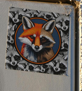 Sticker of the head of an animal that is a red fox on the left half, and appears to be a raccoon on the right half. In the background or black and white images of the same animal.