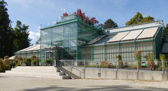 Older greenhouse with many glass panels