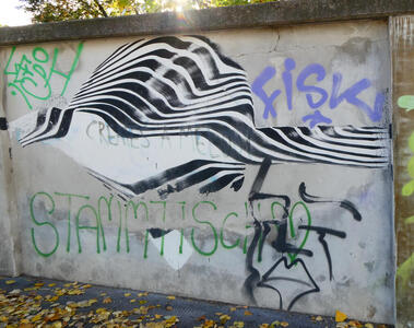 Zebra striping that forms a  semicircular pattern