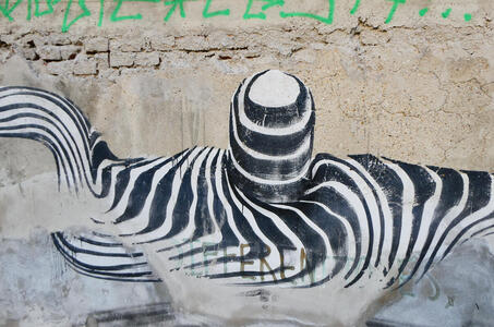 Zebra striping that somewhat resembles a head on wide shoulders