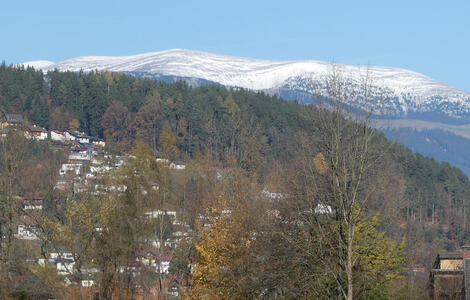 Trees in foreground and midground; in background, mountains whose tops are covered in snow.