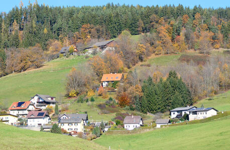 Houses on a hillside, interspersed with evergreen trees