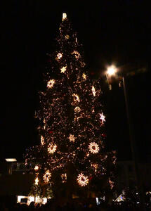 Tree showing fewer lights