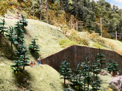 Clearing with trees; a family is picnicking there.