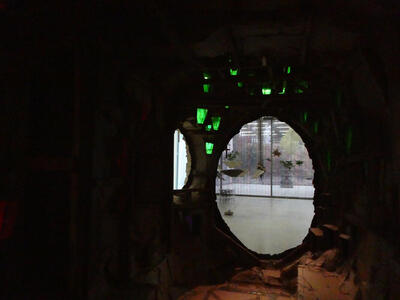 View from inside the cardboard house