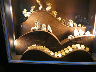 Various samples of gold ore; at bottom,, gold coins