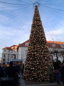 Christmas tree with a large number of gold and silver balls hanging from it.