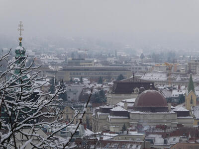 View from Schloßberg; snow-covered tree branches in left foreground.
