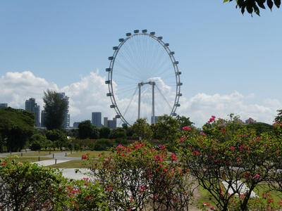 ferris wheel