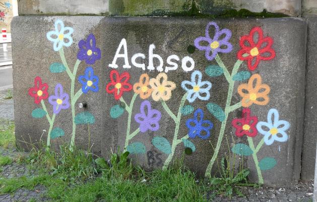 Child-like drawing of colored flowers. Text: Achso