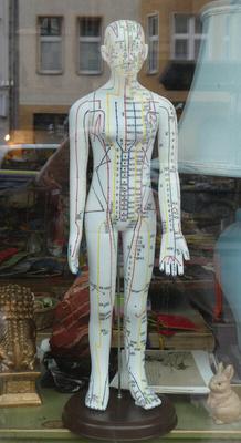 Actupuncture model with multi-colored lines and Chinese symbols on it.