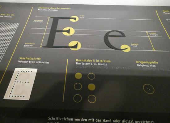 Display showing terms associated with letter forms, such as baseline, serifs, etc.