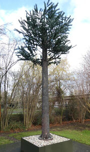 tree on small pedestal