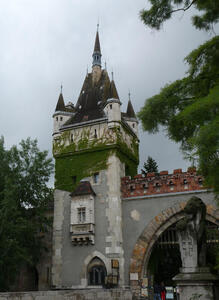 castle tower covered in ivy