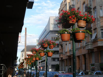 planters with red flowers