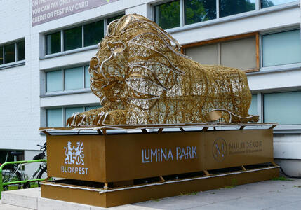 wire frame lion