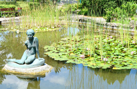 lilypad and sculpture