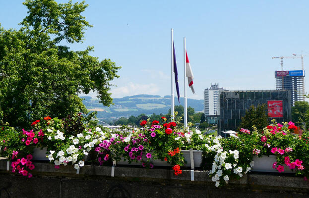 planter with colorful flowers