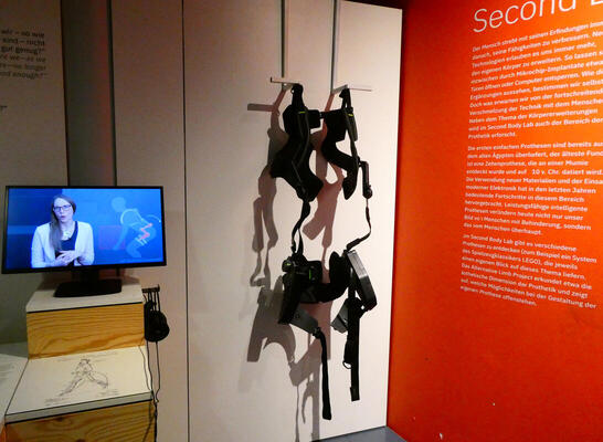 exhibit of exoskeleton