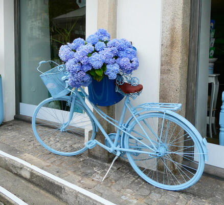 blue bicycle with blue flowers