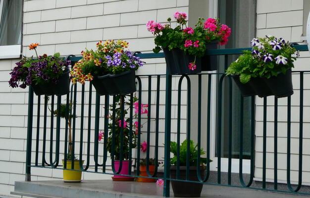 planters with flowers