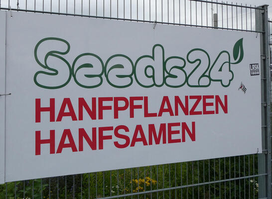 Seeds24 - Hanfpflanzen / Hanfsamen