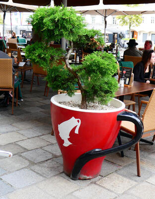 large planter in shape of coffee cup