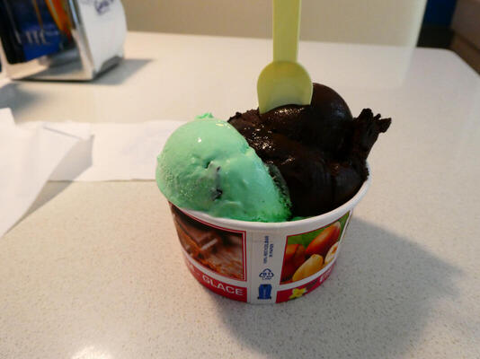 mint and dark chocolate ice cream