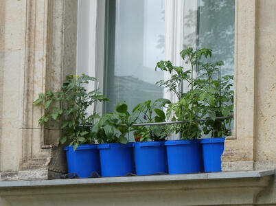 blue planters on balcony