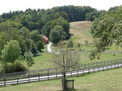 Landscape with rolling hills at right, trees at left. In the middle, a small house with a dark red roof. A narrow road crosses horizontally through the foreground.