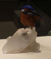 Kingfisher carved from lapis lazuli, eosite, obsidian, jasper, quartz, and 18K gold