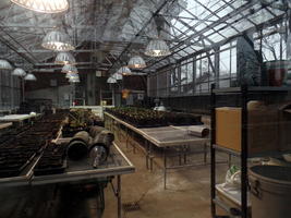 Interior of vivarium showing plants and large light bulbs