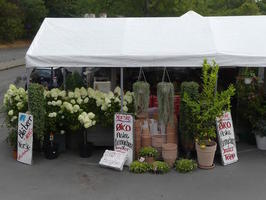 Outdoor flower stand