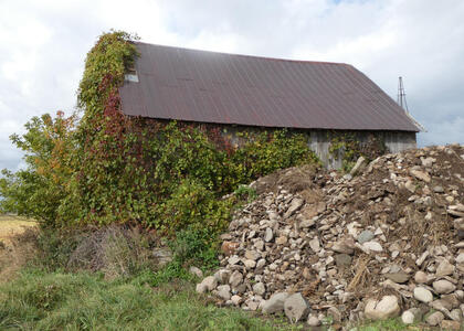 behind pigeon barn