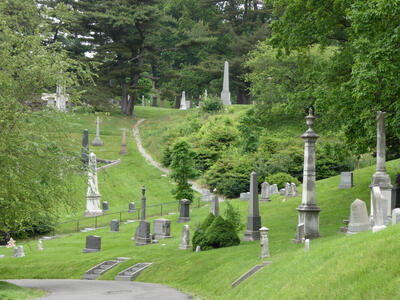 Long view of graves in  lawn and tree area